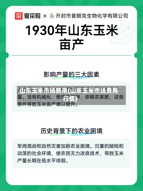 山东玉米市场费用(山东玉米市场费用行情)-第3张图片