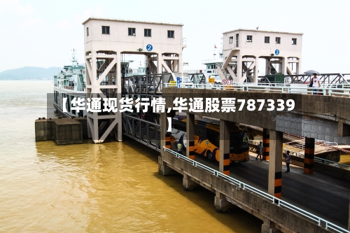 【华通现货行情,华通股票787339】-第2张图片