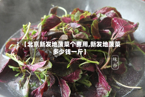 【北京新发地菠菜个费用,新发地菠菜多少钱一斤】-第1张图片